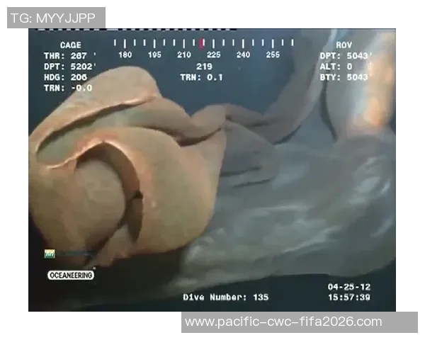 胱闱深处的秘密与探索揭示生命的奇妙与脆弱 胱闱深处的秘密与探索揭示生命的奇妙与脆弱