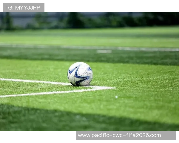 足球场管理制度的优化与实施探讨促进足球运动健康发展的策略研究 足球场管理制度的优化与实施探讨促进足球运动健康发展的策略研究